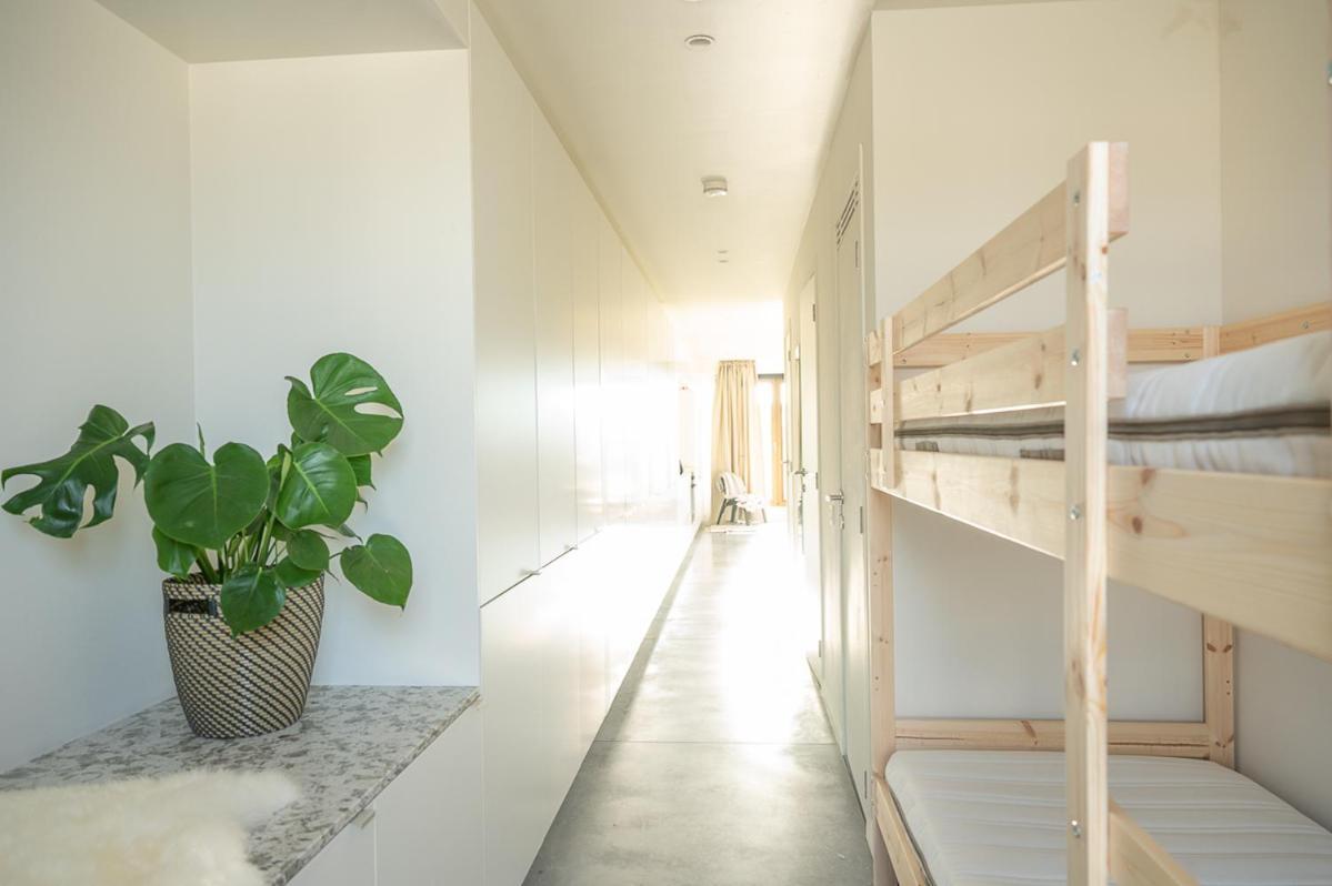 Trendy Apartments As Base To Discover 根特 外观 照片