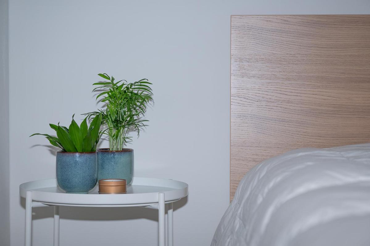 Trendy Apartments As Base To Discover 根特 外观 照片