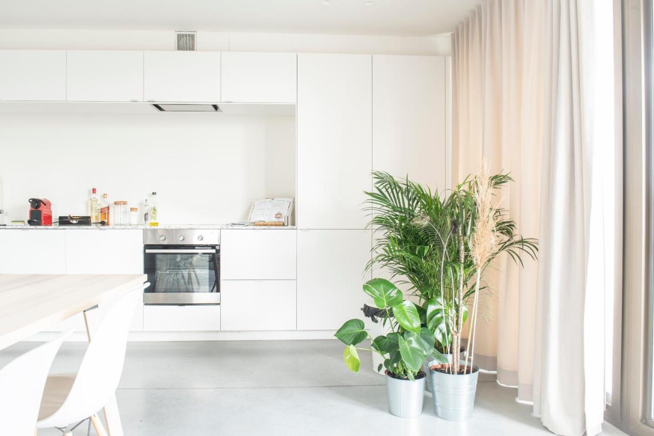 Trendy Apartments As Base To Discover 根特 外观 照片