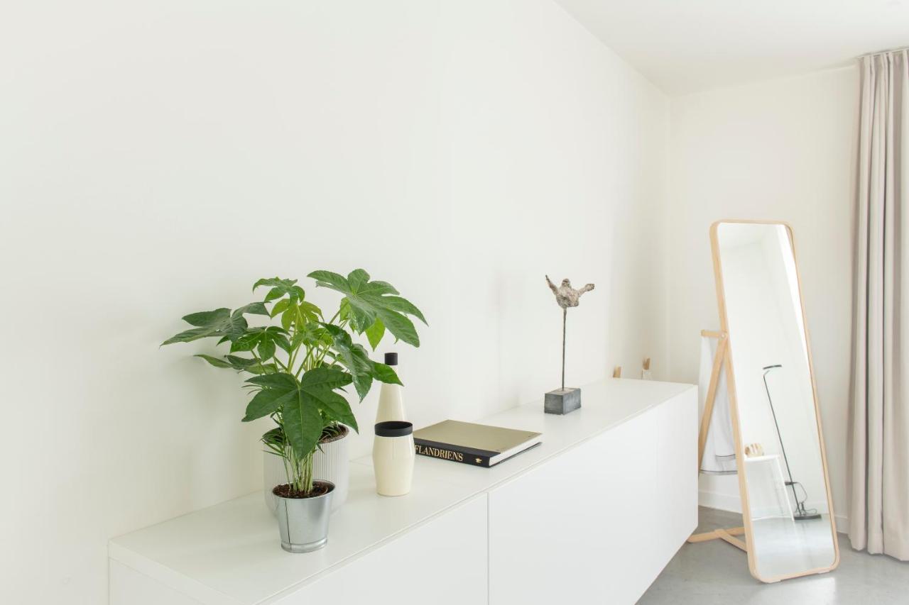 Trendy Apartments As Base To Discover 根特 外观 照片